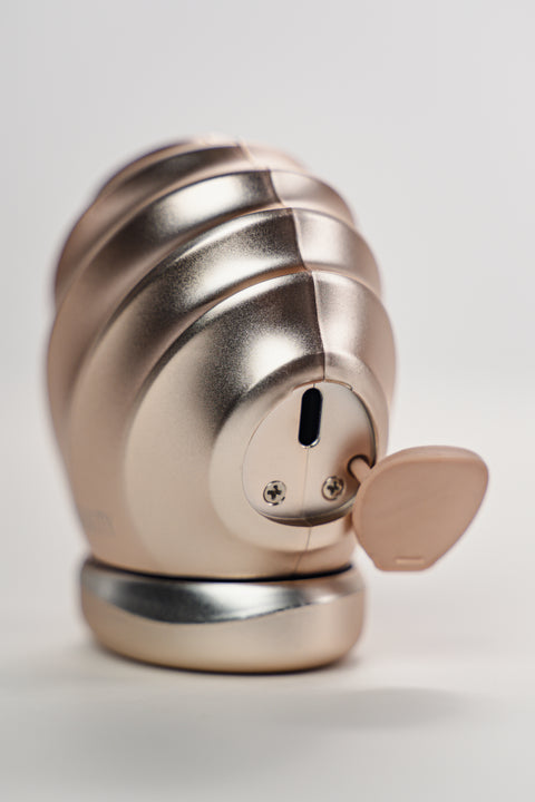 Kanyen RF Facial Device